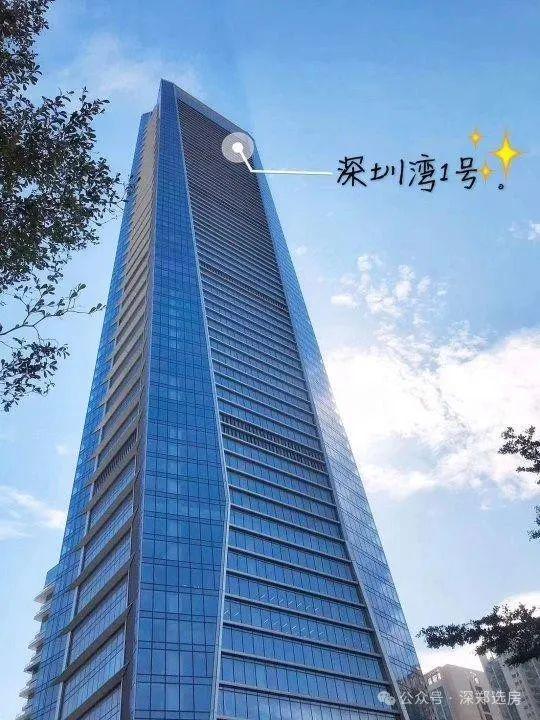 2025 深圳湾1号 售楼处i深圳湾1号官方网站深圳湾1号官方欢迎您
