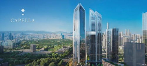 金地环湾城官方网站 网易百科 深圳房天下