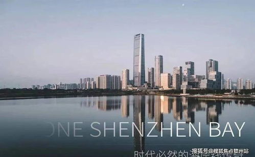 深圳湾1号官方网站 深圳湾1号2024售楼处官方 售楼处欢迎您